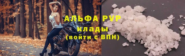 кокс Осташков