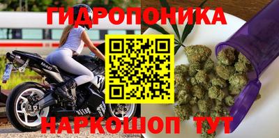 МДПВ Гагарин