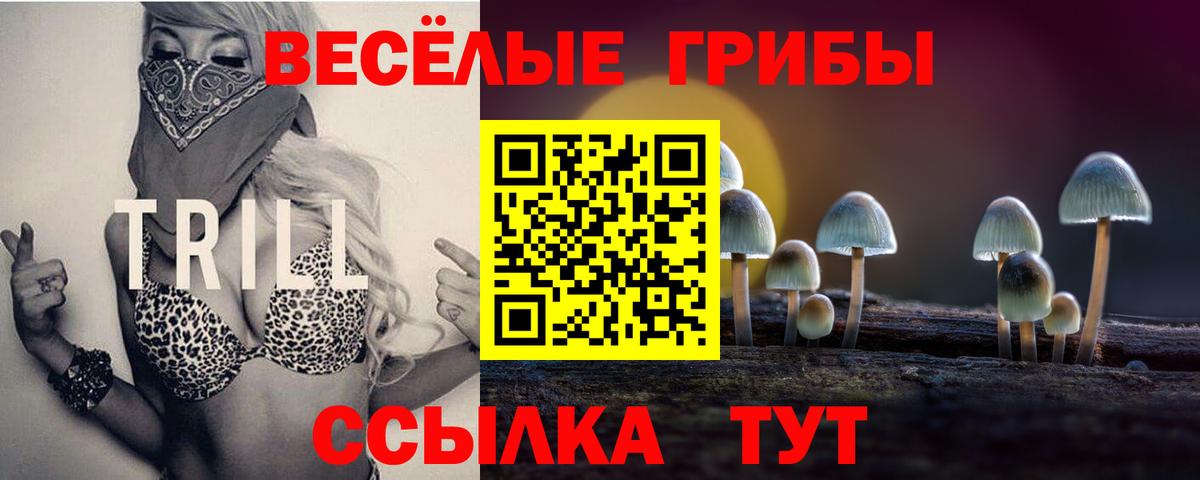 Галлюциногенные грибы мицелий Прохладный